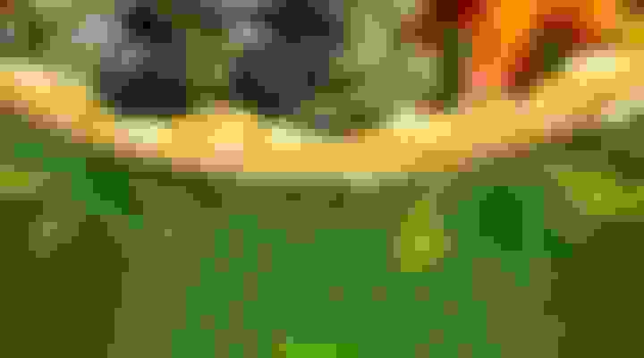 bg-1