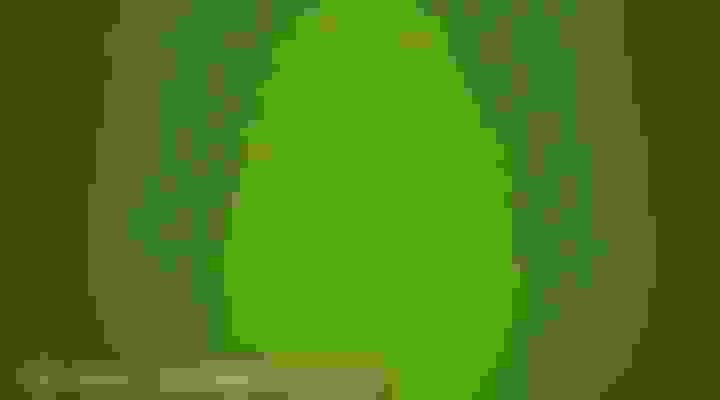 bg-2